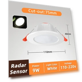 Smart Recessed LED Downlight with Motion Sensor — Lighting Solutions, Crown Global
