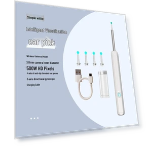 WiFi Ear Endoscope with High Resolution — Security Cameras, GadgetGrip