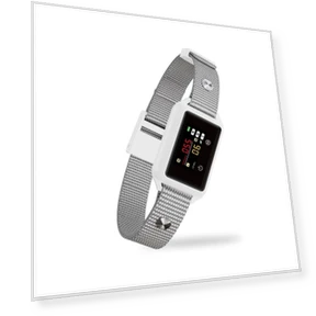 Automatic Anti-Bark Dog Collar — Anti-Bark Training Devices, Automotivemechanicalcomponents