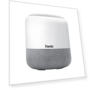 Smart AI Speaker with Screen — Built-In Audio Solutions, Xiaodu