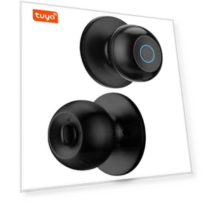 Smart Door Lock with Fingerprint — Card Readers, Ideal World