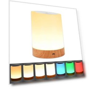 Touch Lamp — Night Lights, TOP-MALL-001