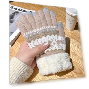 Winter Gloves with Touchscreen Capability — Arm Warmers, WTEMPO