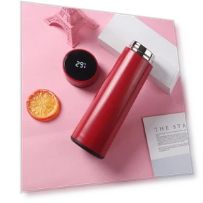 Smart Thermos with Temperature Display — Travel Drinkware, LY Home&Kitchen