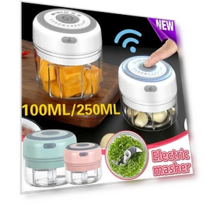 Electric Mini Chopper — Choppers, Angel 05