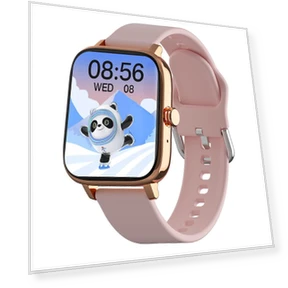 Smart Watch with Custom Dial — Smartwatches, Tiktop2