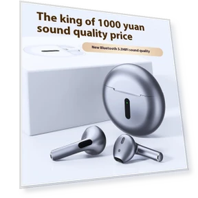 True Wireless Earbuds — Audio Gear, Wang Yi Yan Xuan