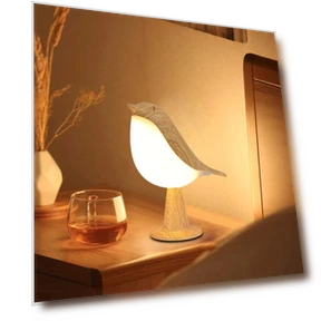 LED Night Light — Night Lights, ZCHUA