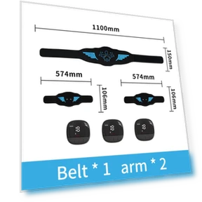 Vibration Fitness Belt — Vibration Plates, Binchi Keji Travel