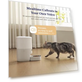 Automatic Pet Feeder with Smart Scale — Automatic Feeders, Pawsync