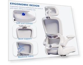 Ergonomic Office Chair with Adjustable Headrest and Lumbar Support — Desk Chairs, TRALT