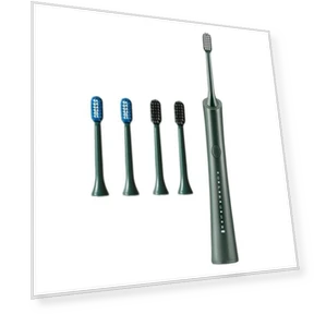 Electric Toothbrush with 5 Brush Heads — Electric Toothbrush Heads, Dongfang HOME A