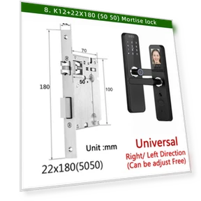 Electronic Lock with 3D Face Recognition — Smart Home Security, RAYKUBE