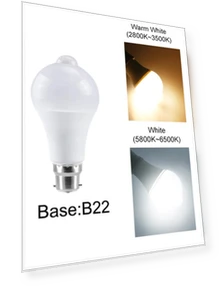 PIR Motion Sensor LED Bulb — Outdoor Security & Flood Lighting, GGBEE