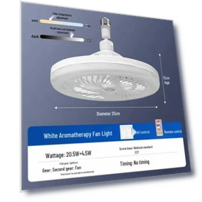 Smart Dimmable Ceiling Fan Light with Remote Control — Ceiling Fan Lighting Solutions, Joy