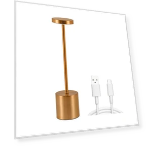 Wireless Desk Lamp with 3 Color Temperatures — Study & Desk Lighting, Pleasure Holiday