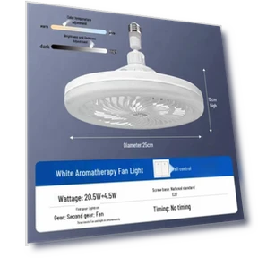 Ceiling Fan Light with Remote Control — Ceiling Fan Lighting Solutions, ElectroCN