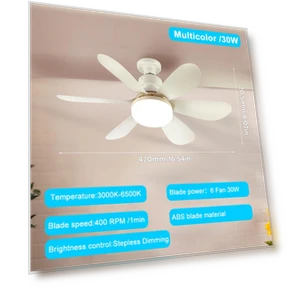 Ceiling Fan Light with Wireless Remote — Ceiling Fan Lighting Solutions, COOKING-MALL