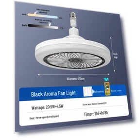 Ceiling Fan Light — Ceiling Fan Lighting Solutions, ElectroCN