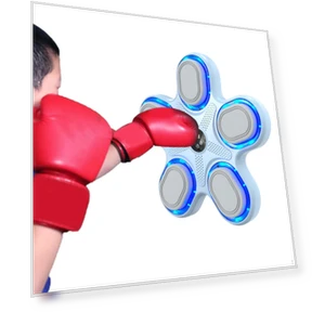 Electronic Wall Target Music — Boxing Training Gear, Closet of Beauty