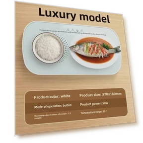 Heated Tray — Kettles & Tea Machines, StrideBox