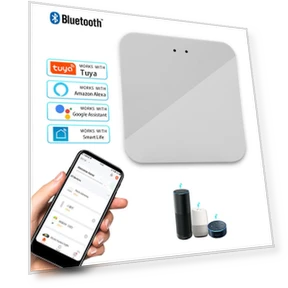 Multi-Mode Gateway Hub — Mobile Internet Solutions, Tuya