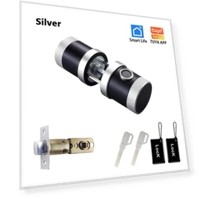 Smart Lock with Fingerprint, Keypad, and Card Access — Biometric Security, RAYKUBE