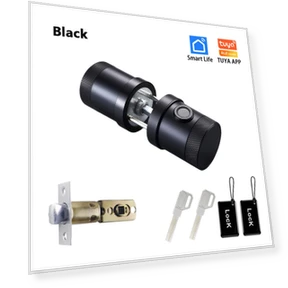 Smart Lock with Fingerprint, Keypad, Smart Card, and App Control — Electromagnetic Security Locks, RAYKUBE