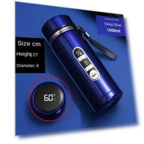 Stainless Steel Vacuum Insulated Water Bottle with Temperature Display — Travel Drinkware, DHDH