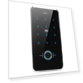Touch Door Keypad — Access Control Keypads, Painter