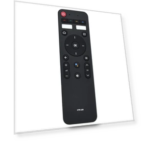 TV Voice Remote — Remote Controls, Brioche