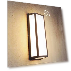 Entryway Light with Motion and Light/Dark Sensor — Outdoor Security & Flood Lighting, ALLUCK