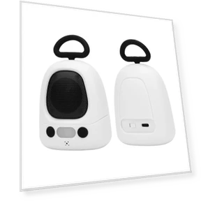 Intelligent Voice Robot Learning Assistant — Security & Surveillance Robots, CLOUDRAKER