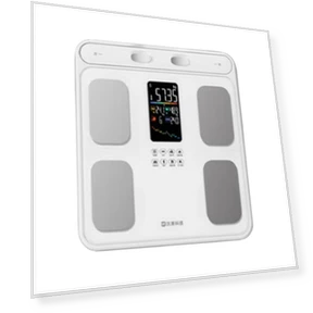 Smart Body Fat Scale — Body Composition Analysis, ICOMON