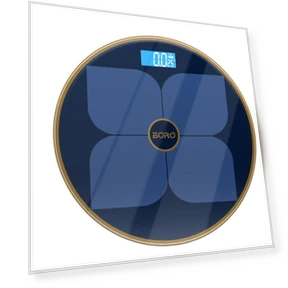 Smart Body Fat Scale — Weight Management Tools, BORO