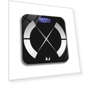 Smart Body Fat Scale — Body Composition Analysis, ZengJie