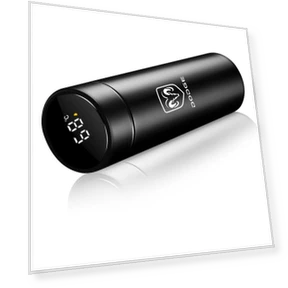 Smart Insulated Mug with Temperature Display and Coffee Filter — Travel Drinkware, Dodge