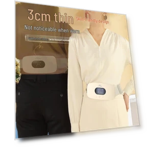 Smart Multifunction Waist Massager with Hot Compress — Rehabilitation & Therapy Equipment, Hezheng