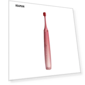 Smart Sonic Electric Toothbrush — Electric Toothbrush Heads, ROAMAN