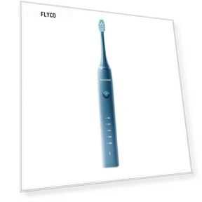 Smart Sonic Electric Toothbrush — Ultrasonic, FLYCO