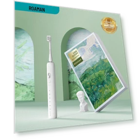 Smart Sonic Electric Toothbrush — Sonic Electric Toothbrushes, ROAMAN