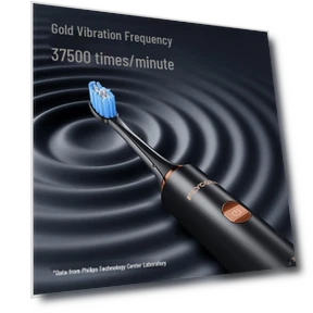 Smart Sonic Electric Toothbrush — Ultrasonic, FLYCO