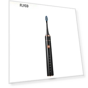 Smart Sonic Electric Toothbrush — Sonic Electric Toothbrushes, FLYCO