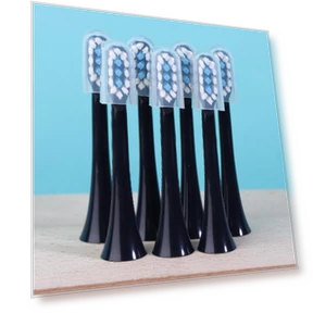 Sonic Electric Toothbrush Replacement Heads — Sonic Electric Toothbrushes, Xiaomi