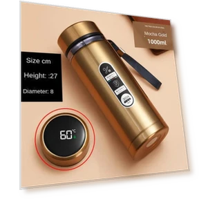 Stainless Steel Vacuum Insulated Bottle with LED Temperature Display — Travel Drinkware, DHDH