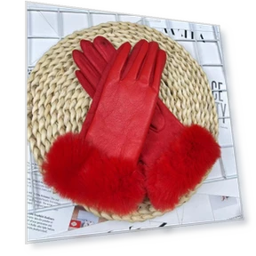 Touchscreen Gloves — Gloves, Female s