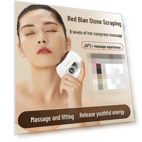 Electric Bianstone Gua Sha Massager — Back Relief Solutions, Konka