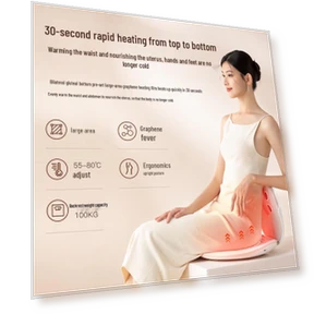 Heated Moxibustion and Waist Massager — Back Relief Solutions, JDST