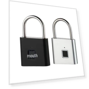 Smart Fingerprint Lock — Card Readers, Apex Gear