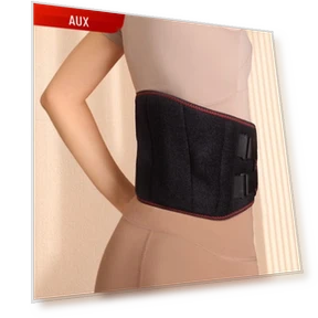 Smart Heated Waist Massager Belt — Back Braces, PASTSKY